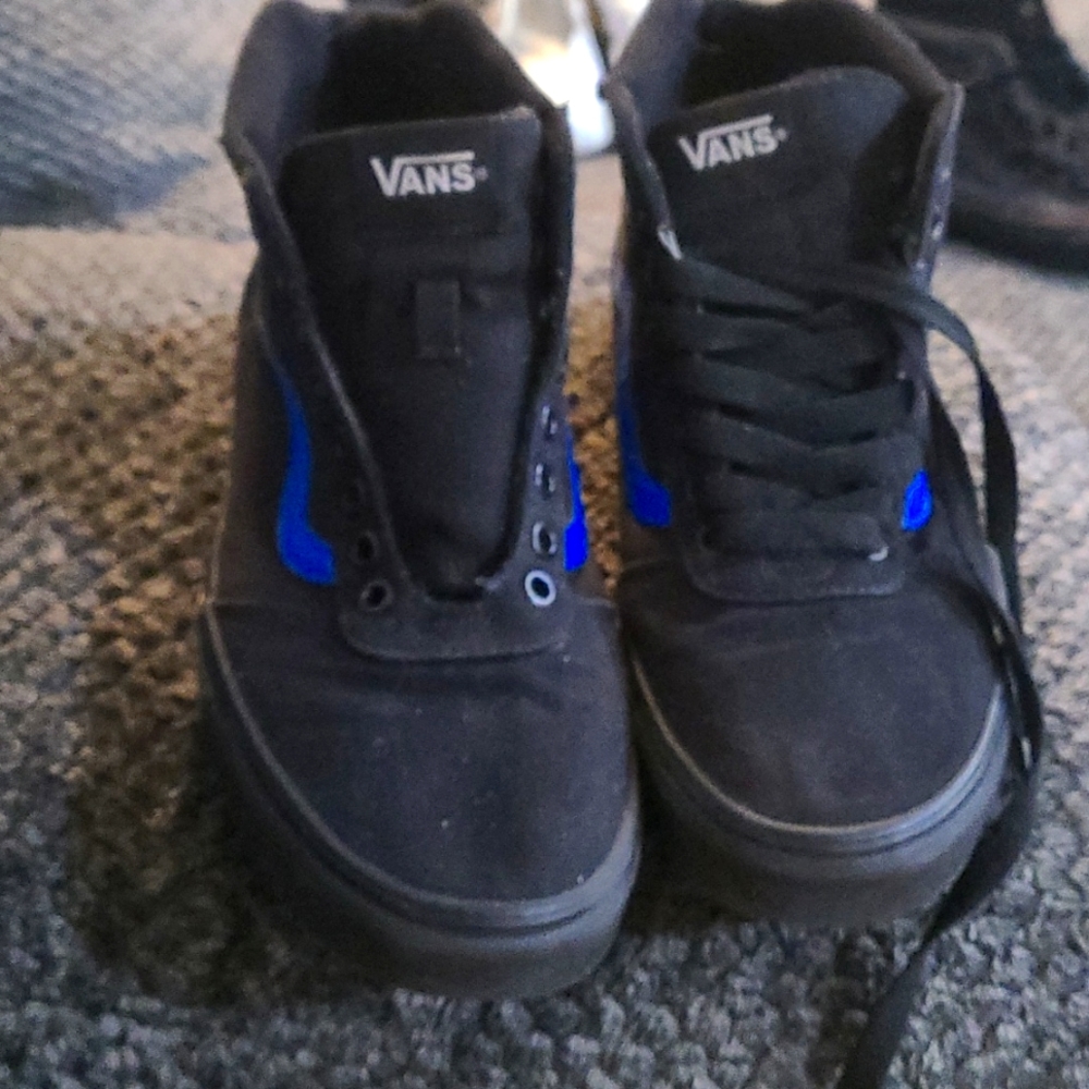 Vans men's shoes